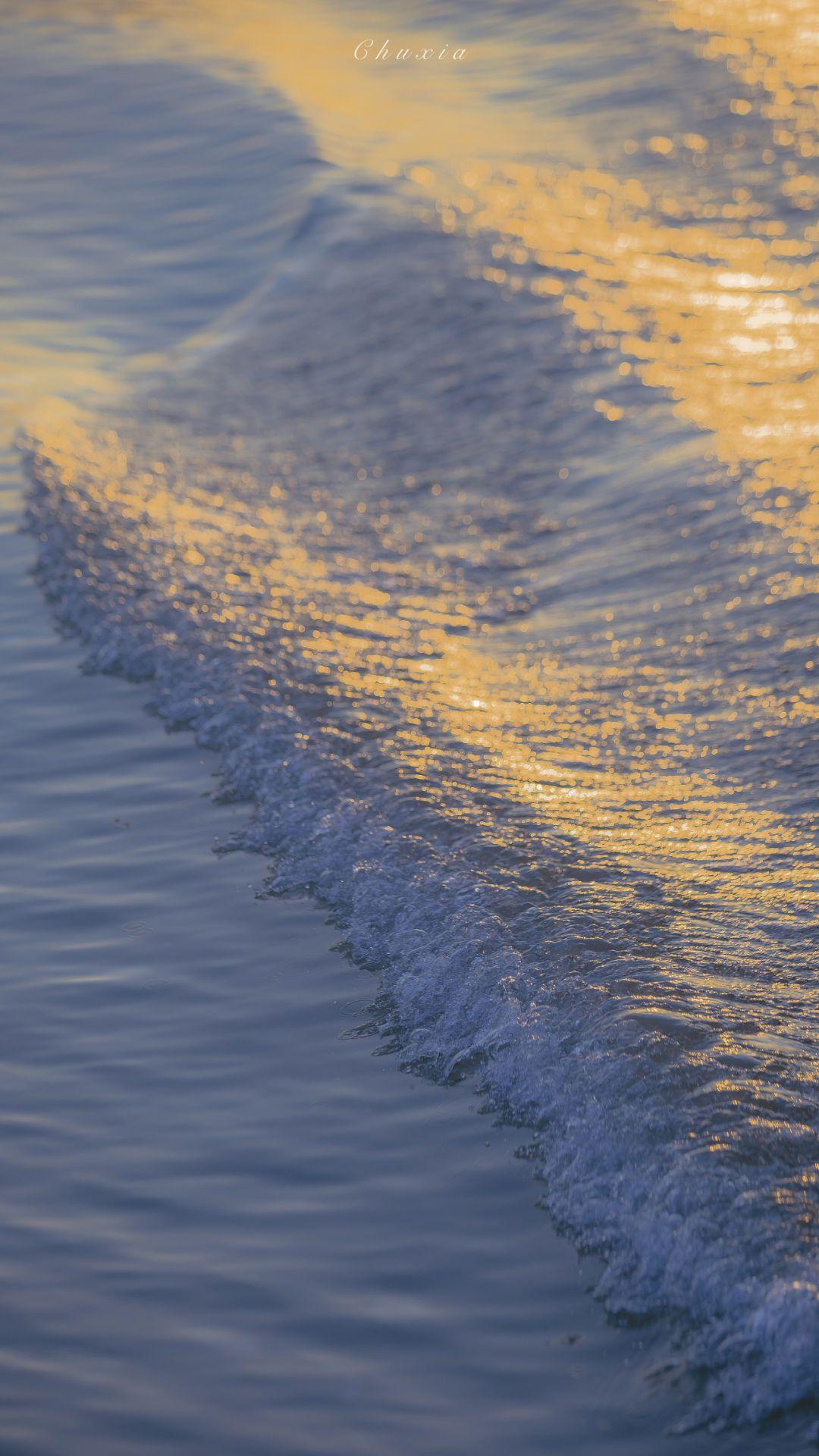 大家好,我是简读深思,今日推文如下:《明知故犯》作者:长孙明作者文案