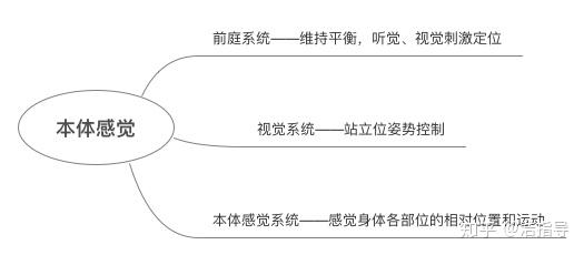 而引起意识性感觉 (感知机体在空间的位置和运动的方向),它还传导精