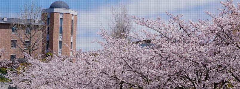 日本留学,需要怎么准备修士考试?
