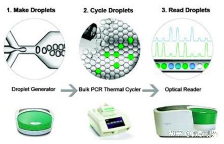 一种用于现场即时检验（point-of-care testing）的ddPCR - 知乎