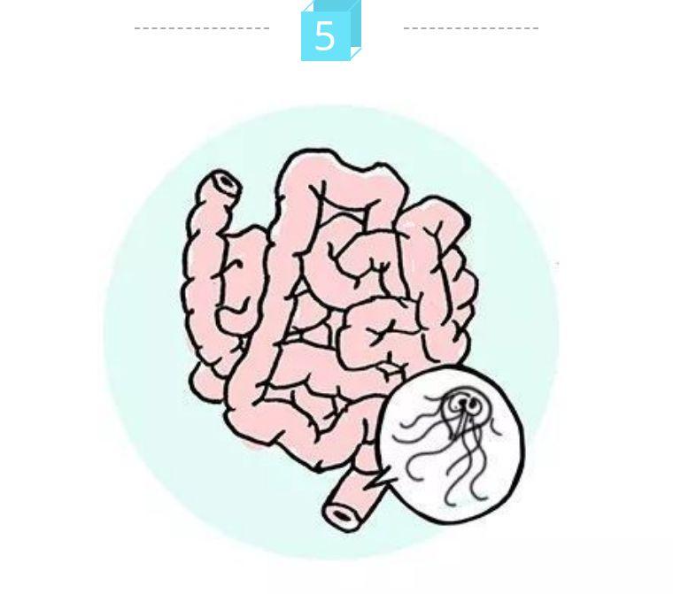 给猫咪驱虫时驱的是哪些虫呢? - 知乎