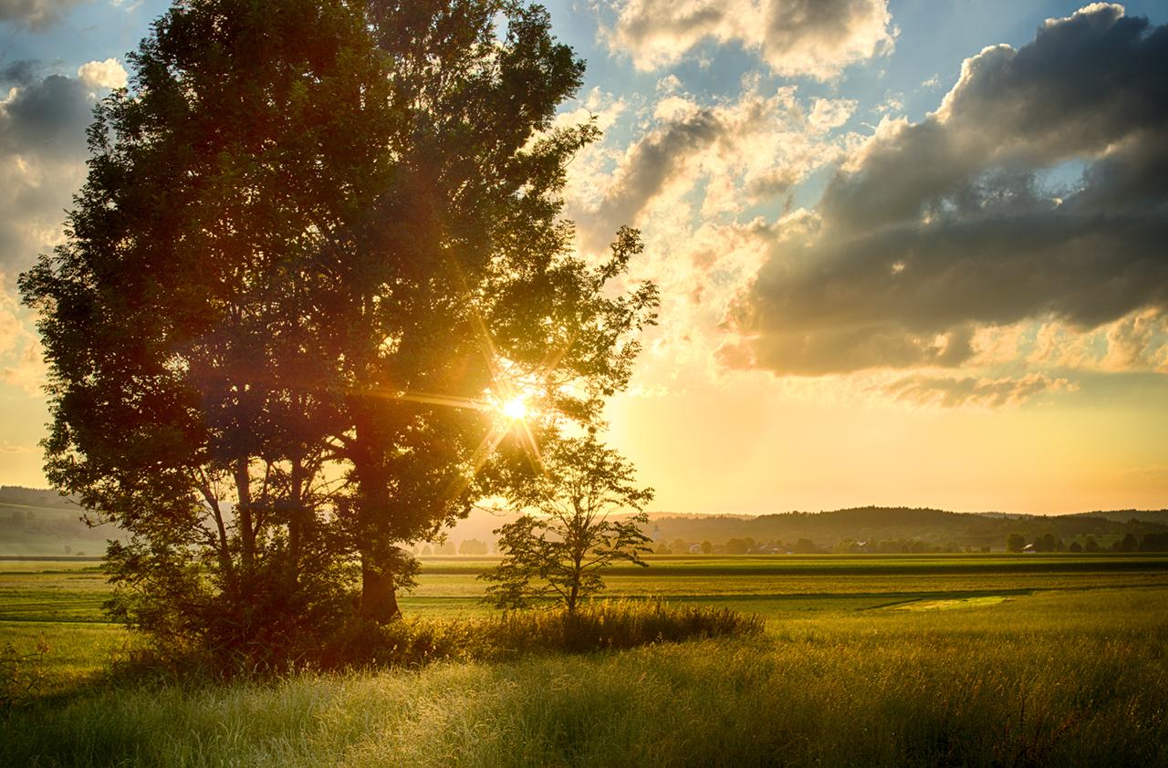 「感谢苦难,因为苦难使人进步」的观点到底对