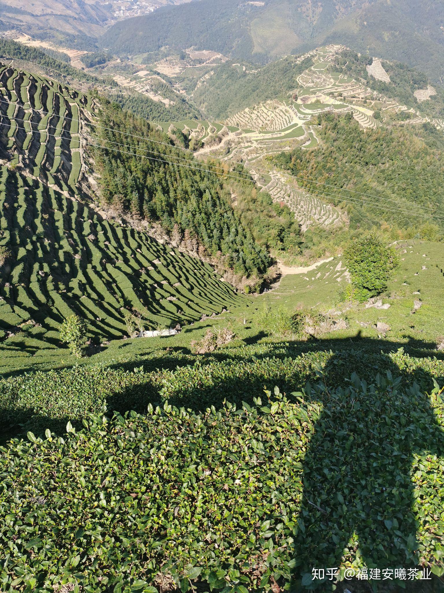 内安溪之龙涓 - 知乎