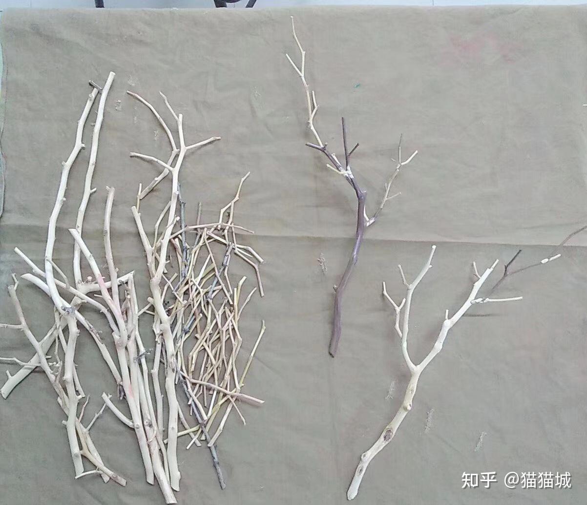景木花雕的前世今生(1) - 知乎