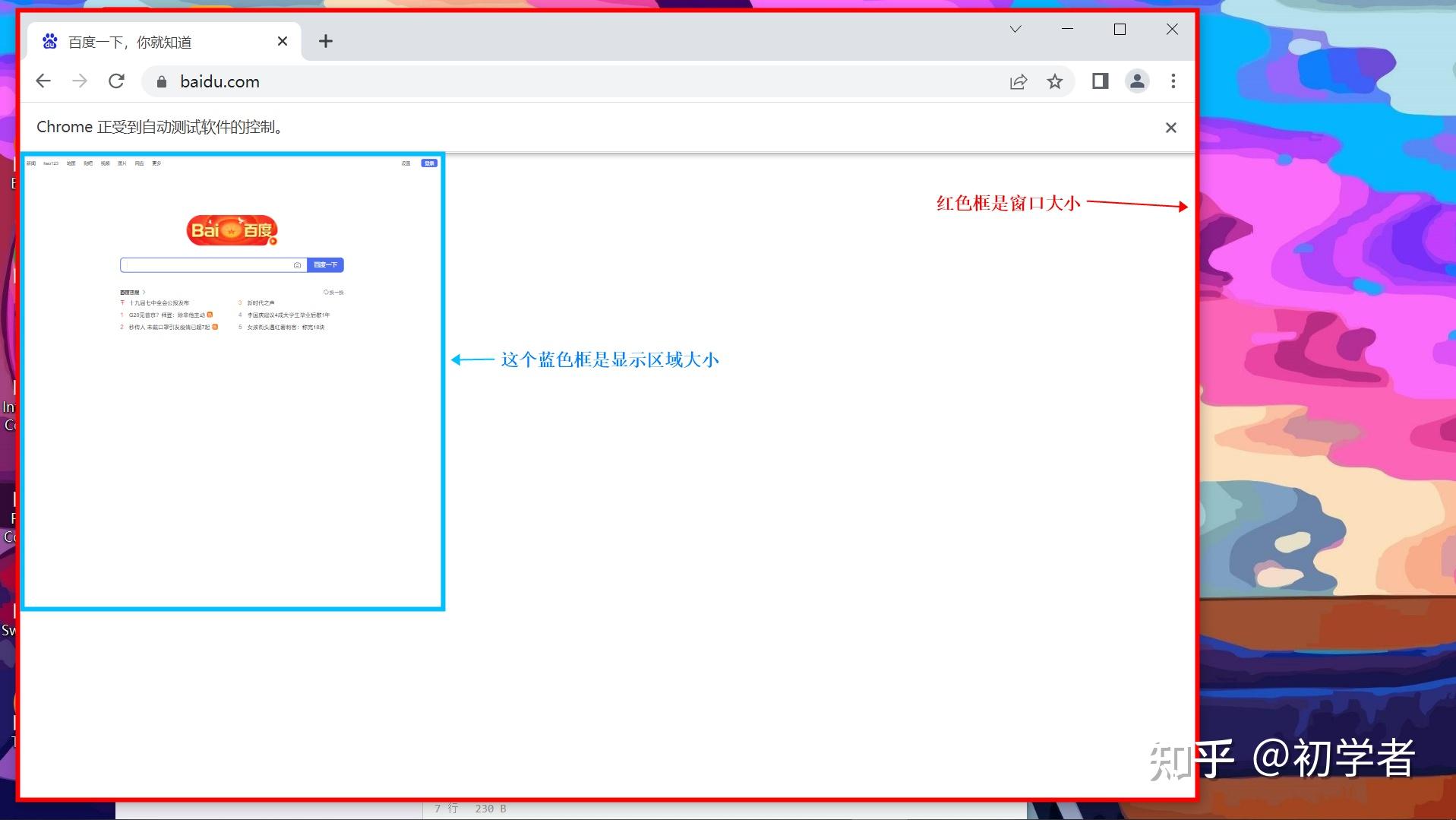 Selenium viewport 
