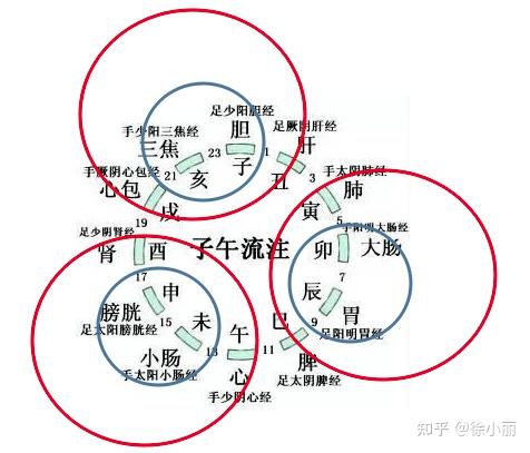 六经辨证传变顺序与传变类型 - 知乎
