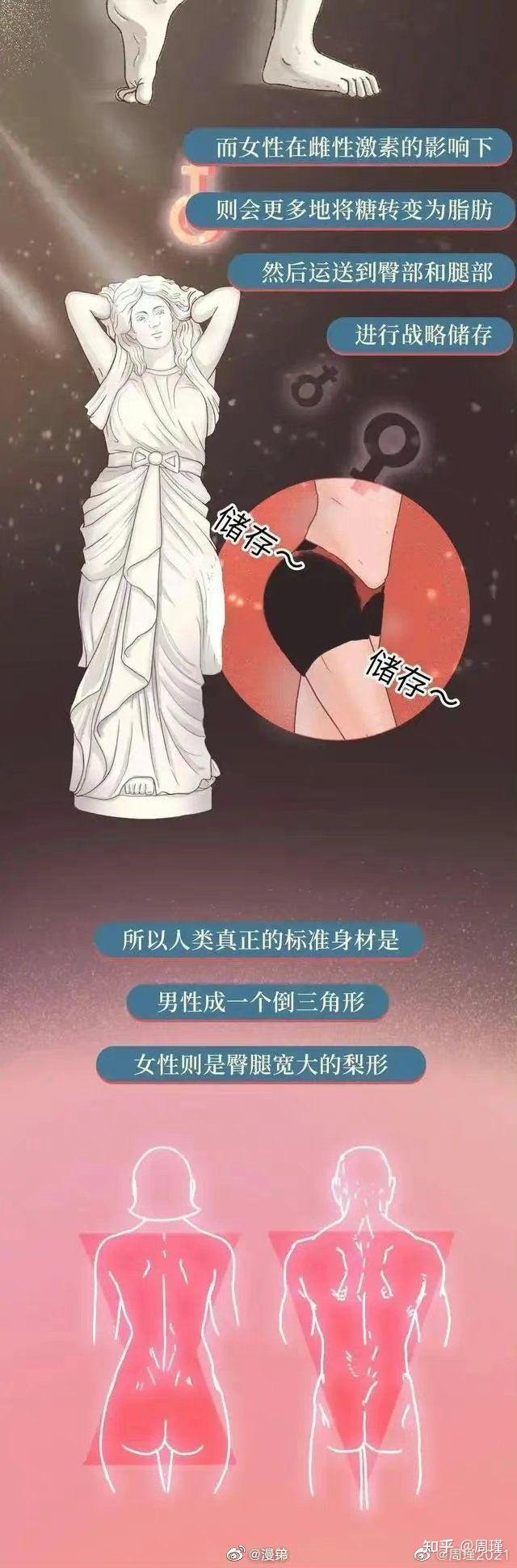 男女身材对比差异图片