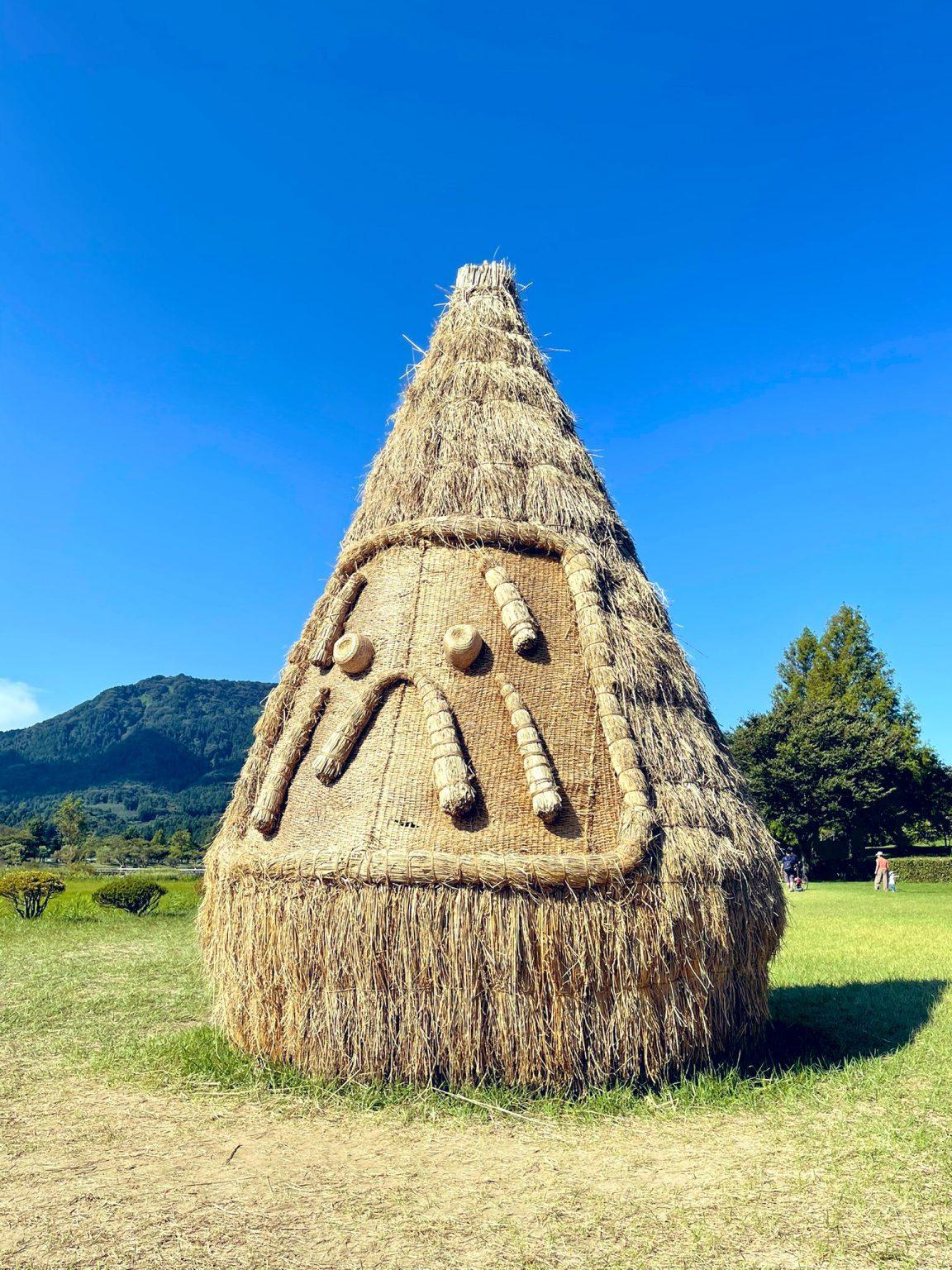 庆祝丰收新玩法尽在日本稻米艺术节