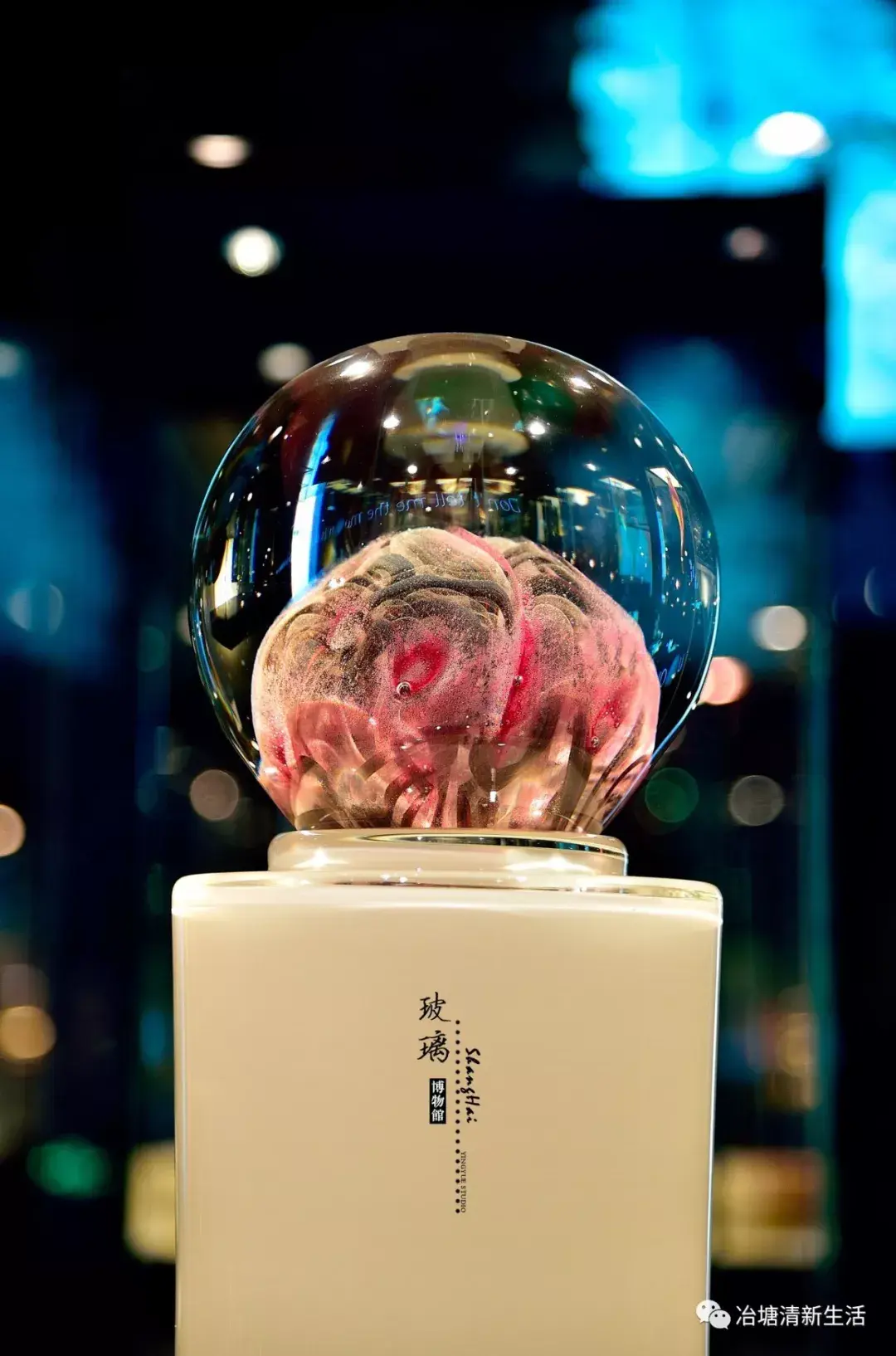 感受非凡上海玻璃博物馆