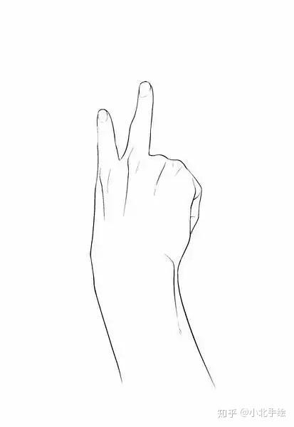 服装手绘 | 画人难画手,3分钟教你画一只手(附300张手)