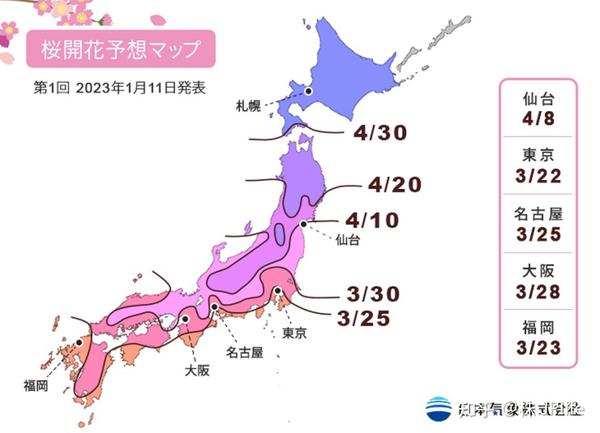 2023年日本樱花开放前线图来啦！赶快加入赏樱自由行吧！ 知乎