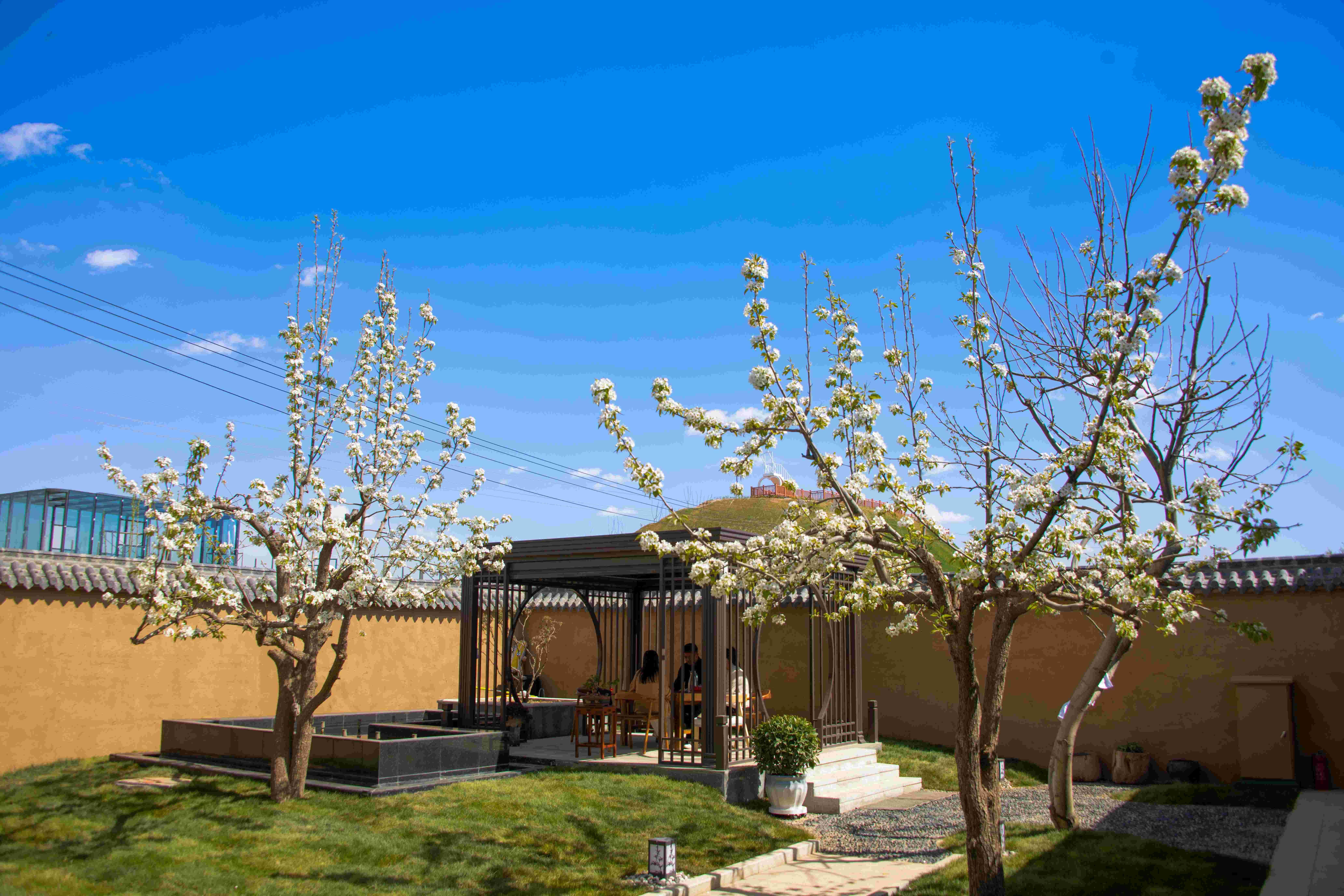 立足绿色发展,中建四局"筑"力兰州新区乡村振兴