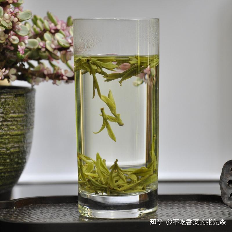 日照綠茶:那什麼茶值得喝呢?