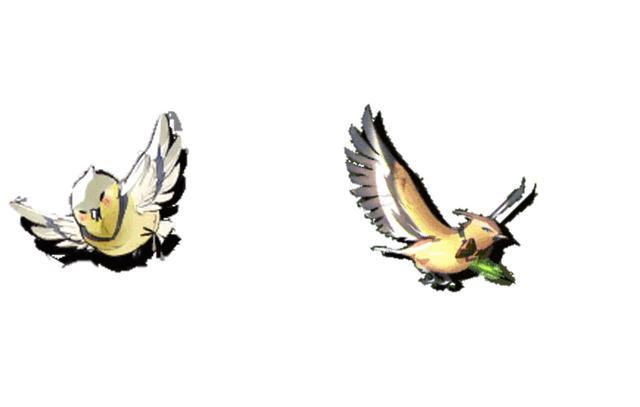 阿达克利斯:初龙次亚纲