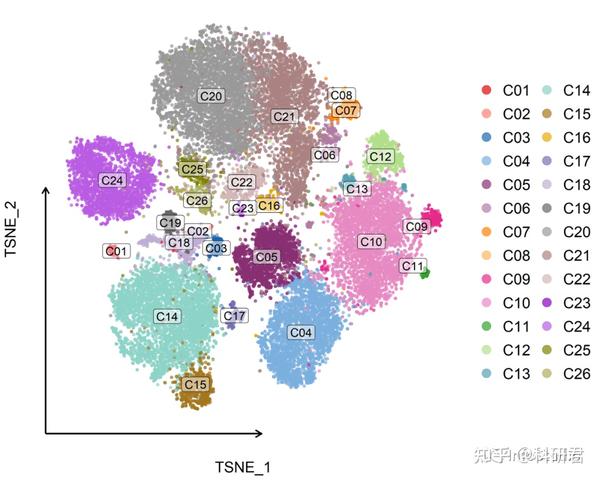 ggplot2-tsne