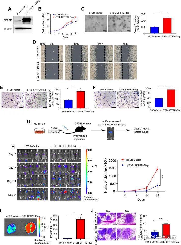 3差异分析ppi预后实验的生信思路简单直接容易上手