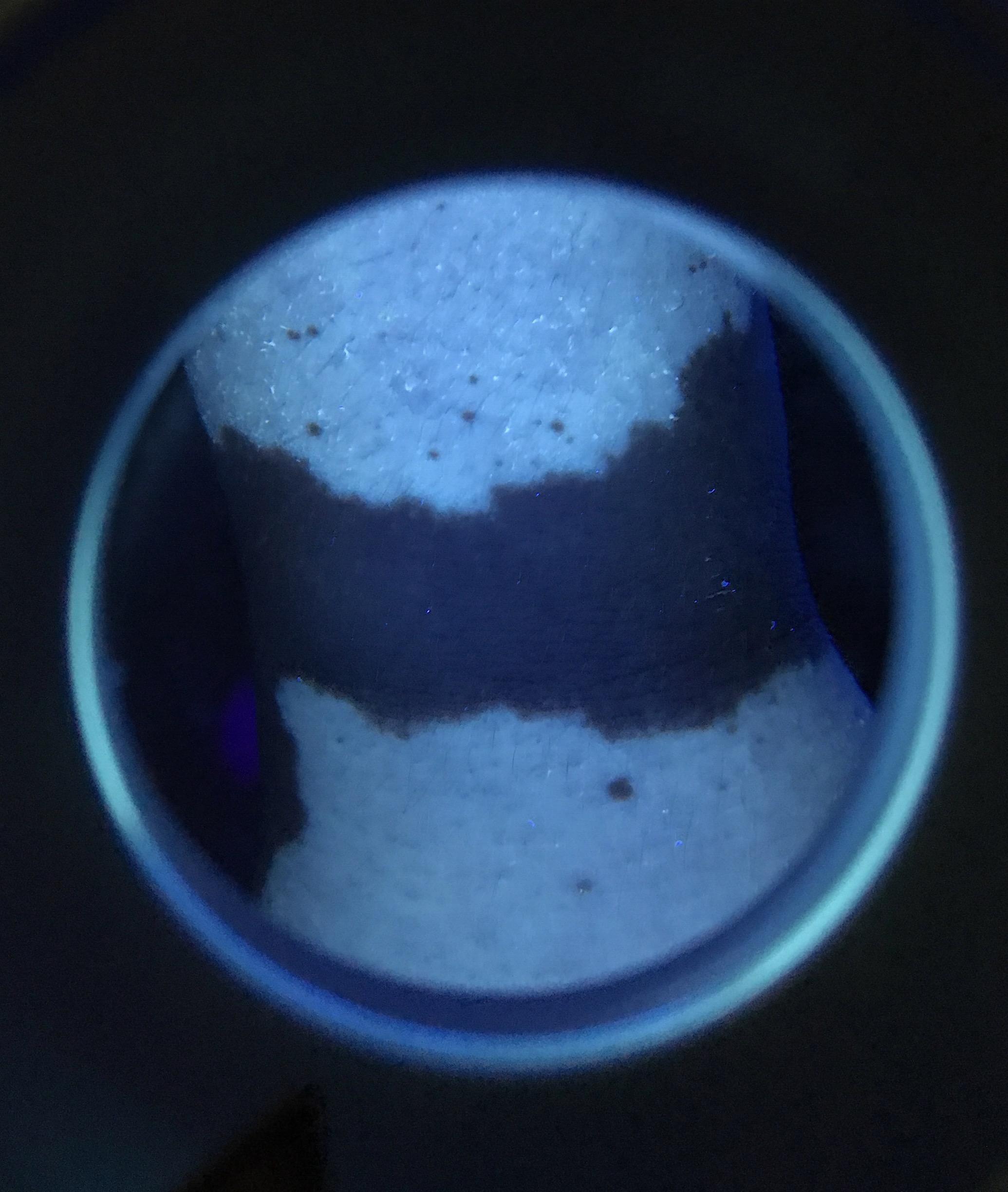 伍德氏灯照猫藓尿癣真菌手电筒紫外线荧光剂紫光验钞灯专用-阿里巴巴