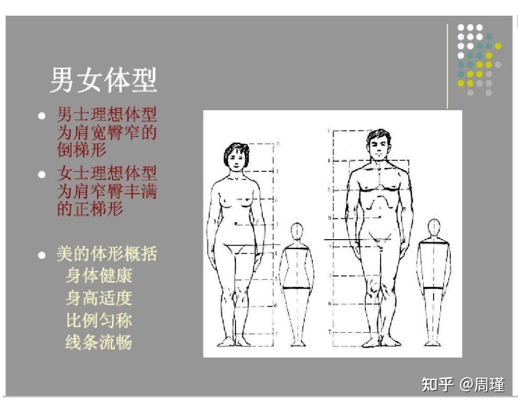 男女体型差异图片