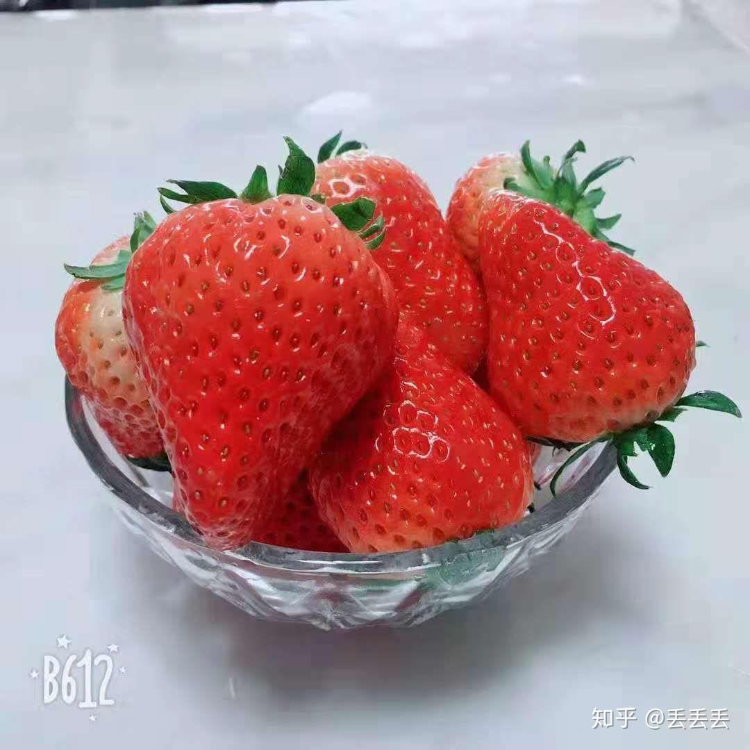 5万元一颗的日本美人姬草莓 - 知乎