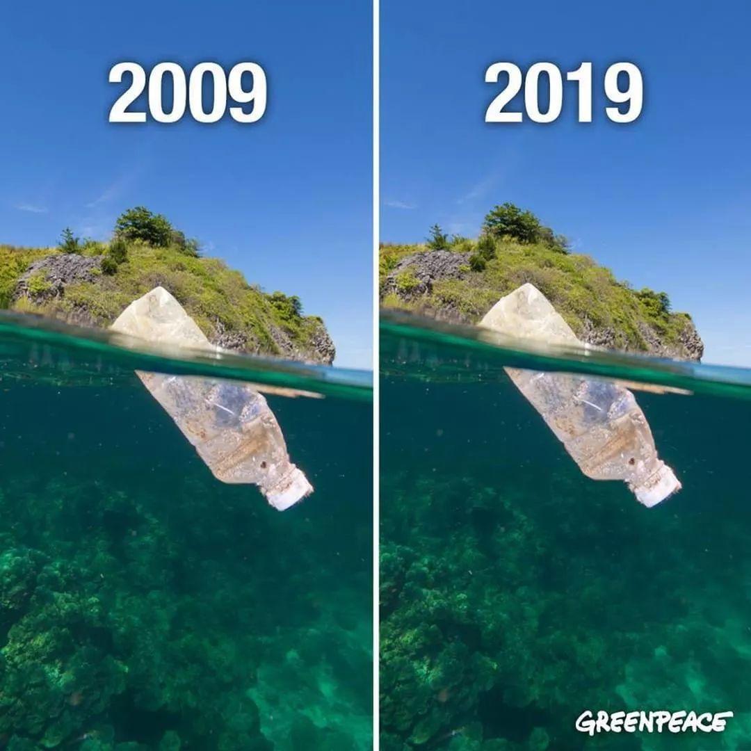 十年前,海洋动物的天敌不是人类十年后,它们却被人类制造的垃圾威胁