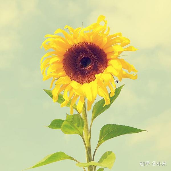 入目无他人 四下皆是你 入目无别人 男霸网