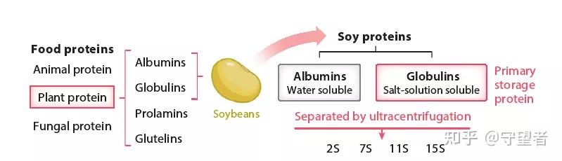 annu-rev-food-sci-t