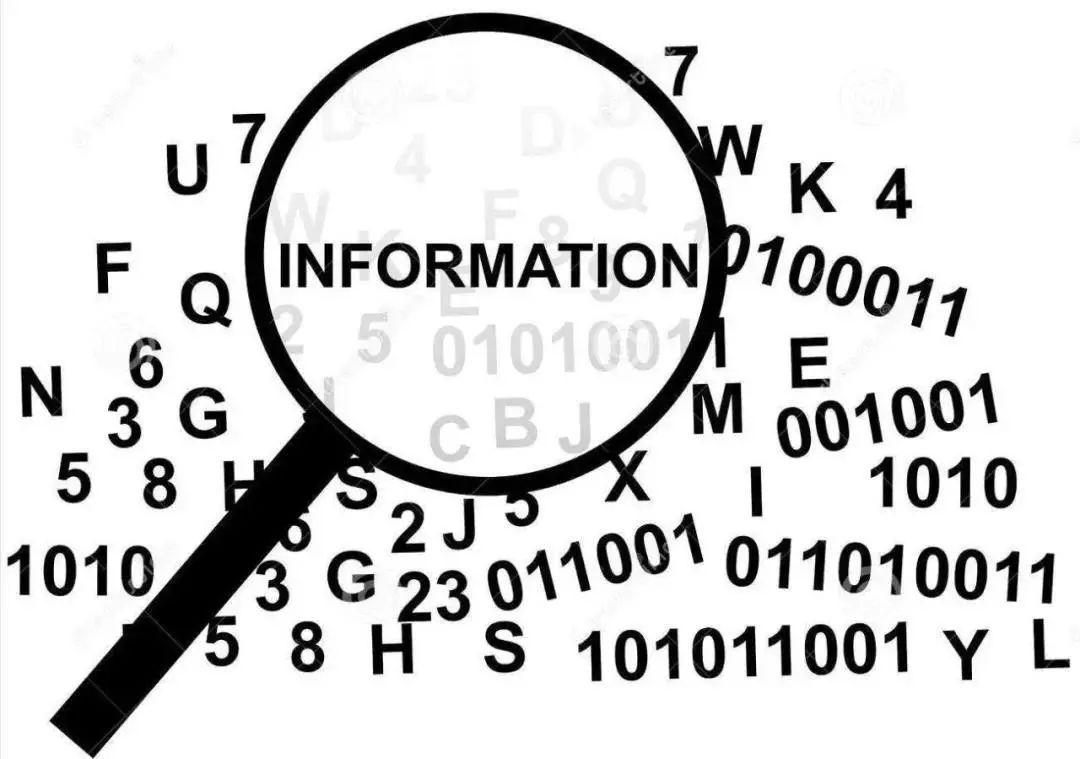 深入挖掘字母哥NBA录像 细数攻防两端进化轨迹与夺冠赛季经典瞬间