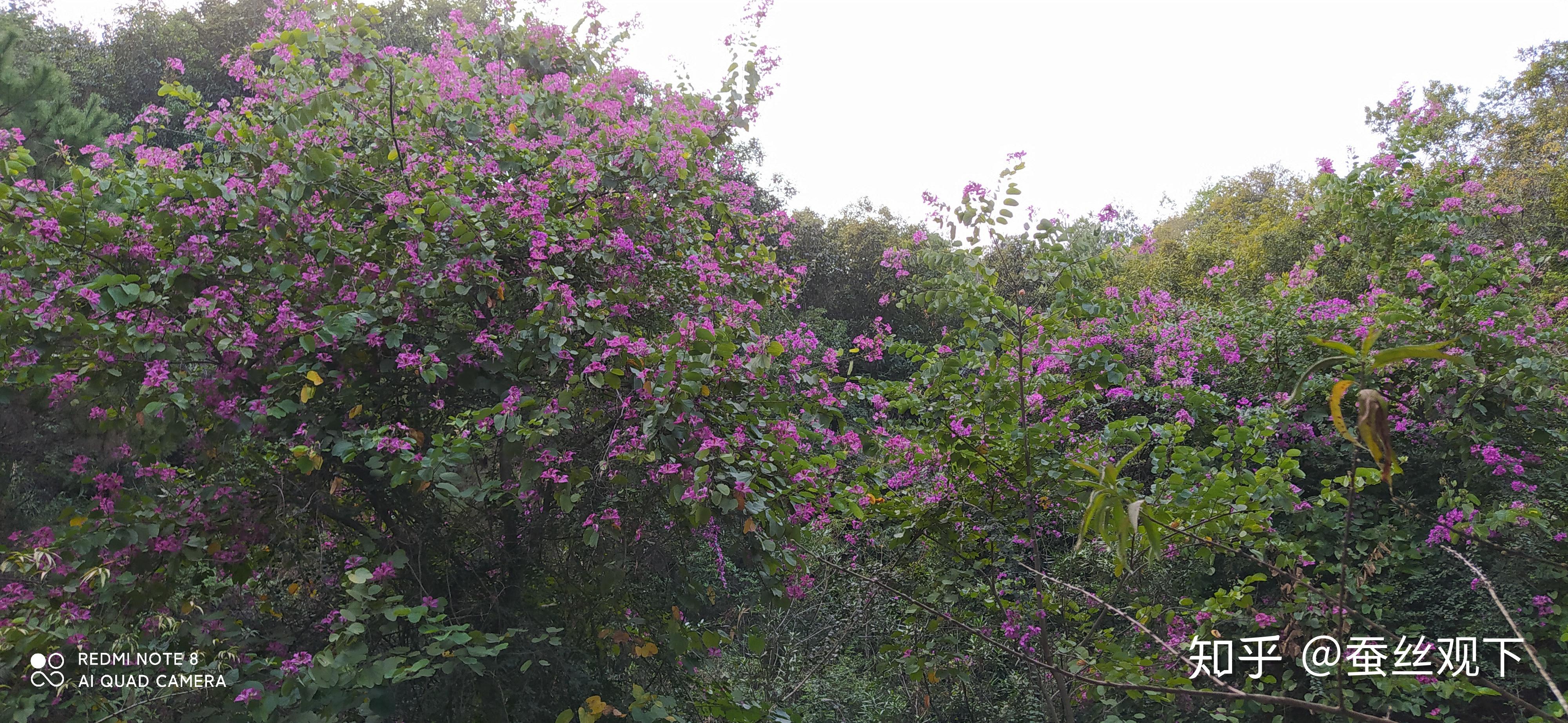湖南地理简介:三山四水 风景独特 知乎