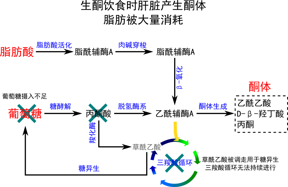 v2-92f323dc9fb360b8eb5032f75b25bd8f_r.jpg