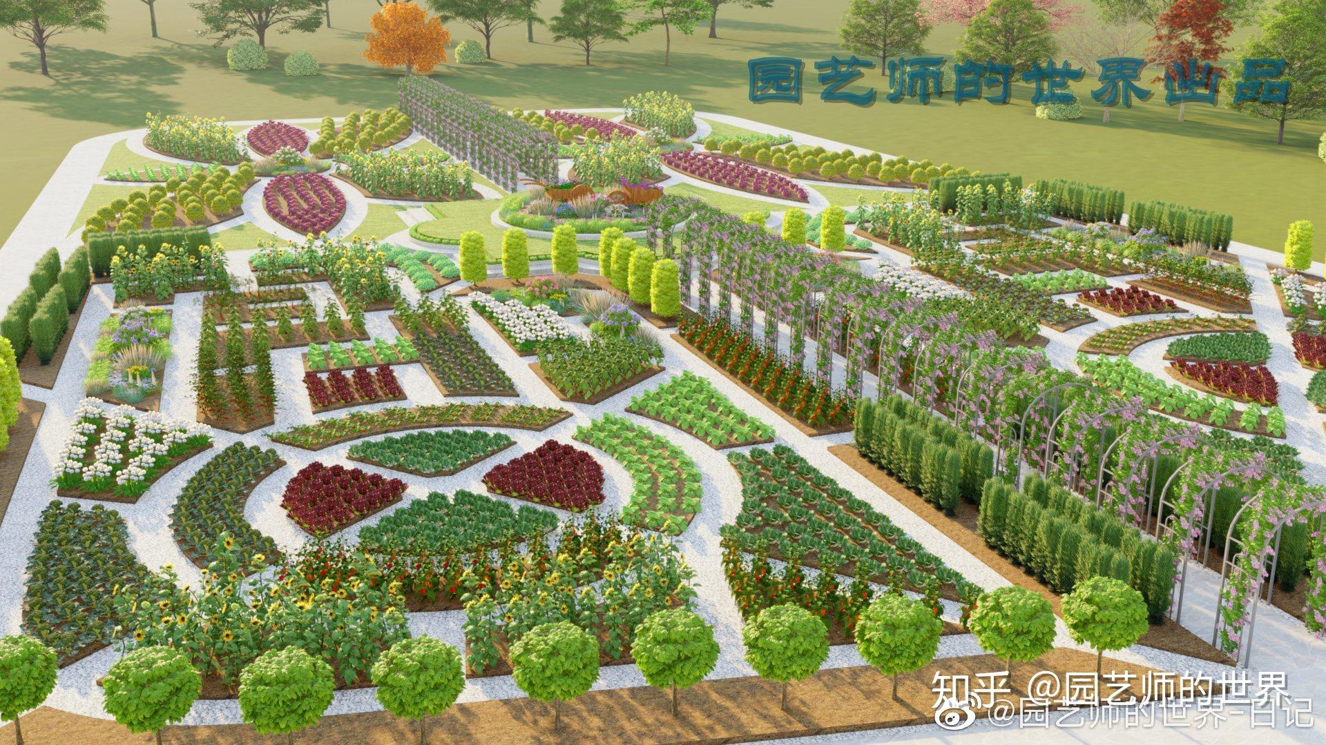 在往期内容里,无论是蔬菜花园的设计理念,种植技术,还是经营管理,市场