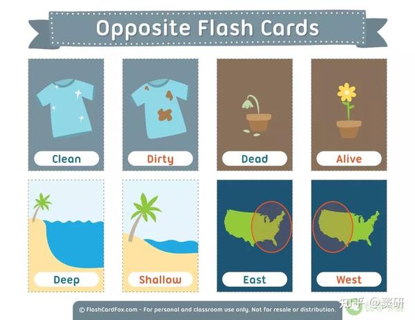 免费分享 | 43大主题英语彩色单词卡,帮孩子轻松掌握1600+词汇 - 知乎
