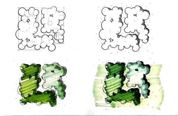 手绘灌木平面图怎么画图片