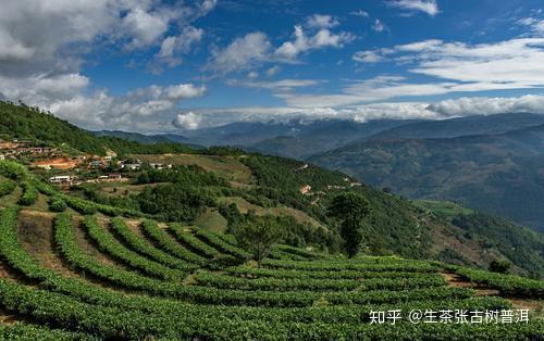 雲南普洱茶的主產區地形結構由壩子,山地和高原所組成,分佈在1200米到