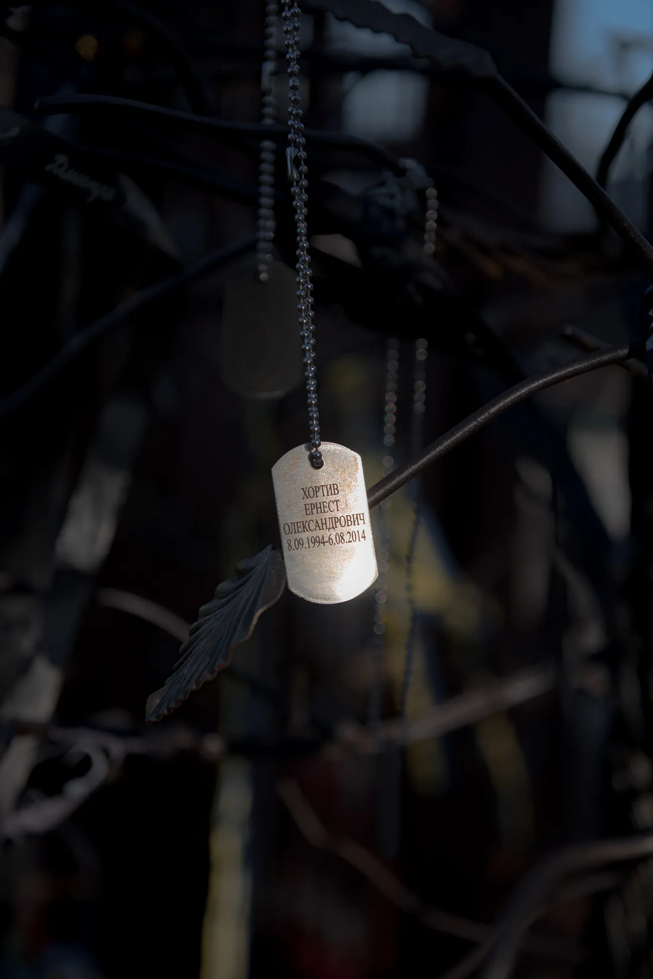 尼古拉耶夫纪念碑上悬挂的乌克兰阵亡士兵的遗骸