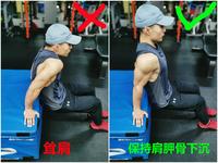 【动作】:板凳臂屈伸——一个危险动作的自白