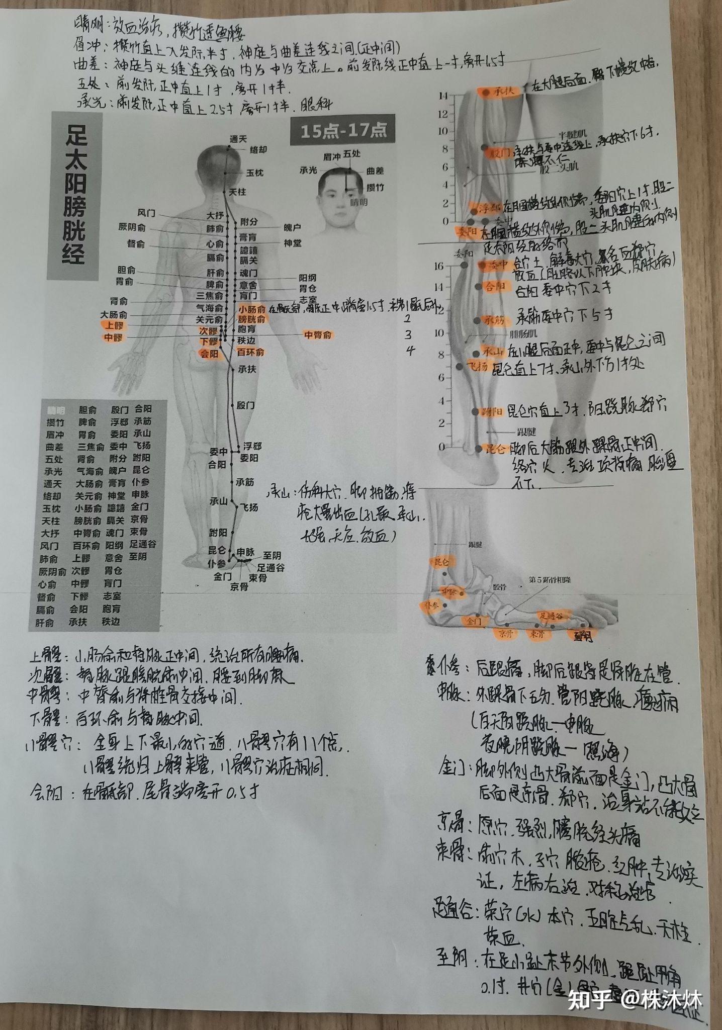 足太阳膀胱经循行图解图片