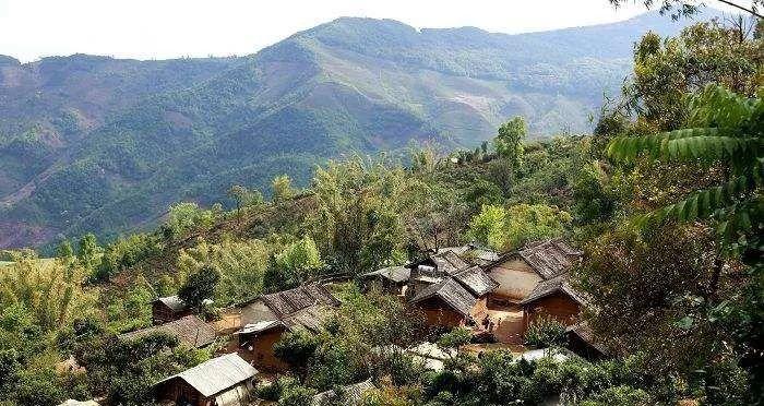 福海讲堂冰岛五寨普洱茶滋味特点及区别