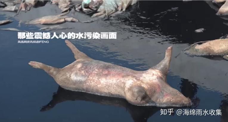 海绵城市的建设概述第一章建设背景 - 知乎