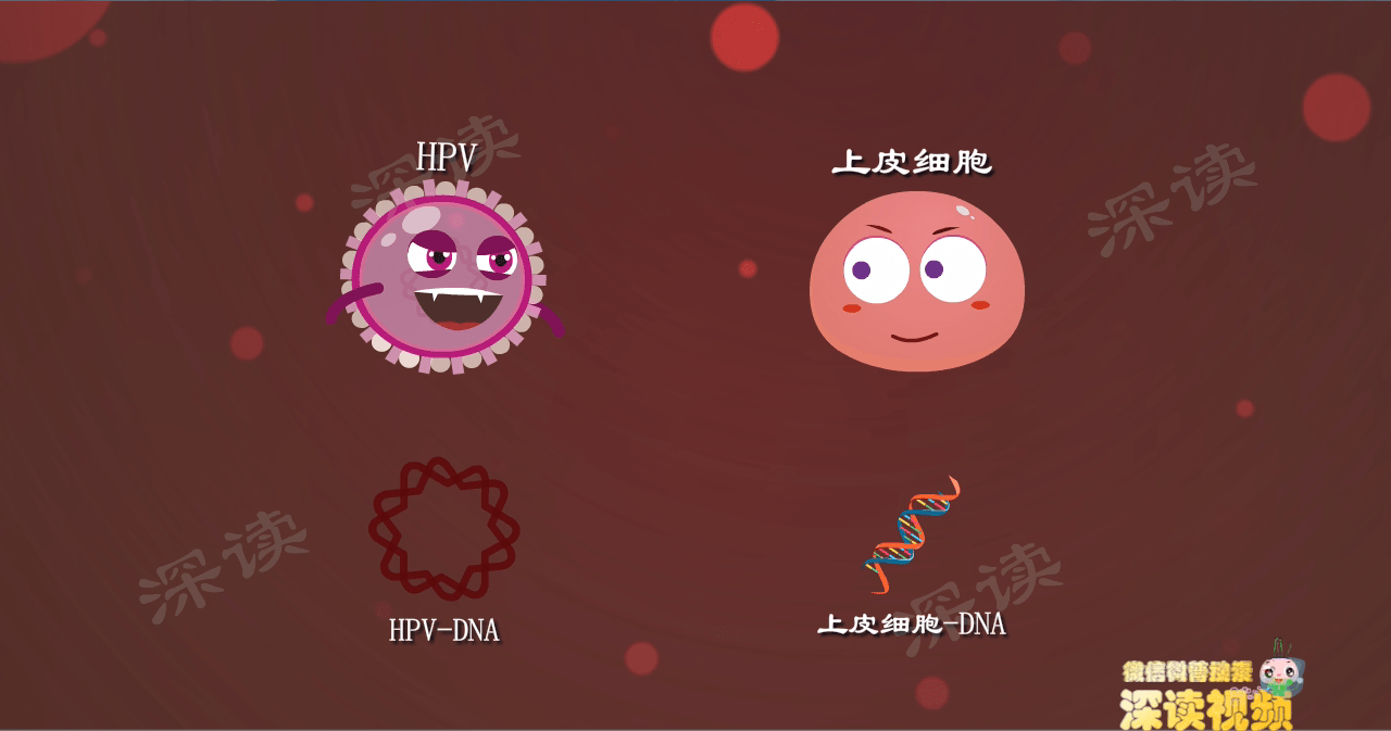 明明沒出軌為啥染上尖銳溼疣還有哪些你不知道的事會招惹hpv