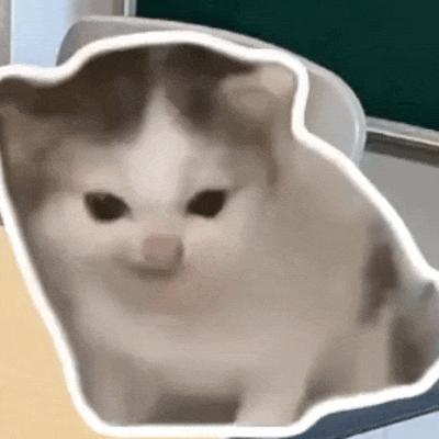 希特勒猫·柏林之声猫meme表情包/众神归位 - 知乎