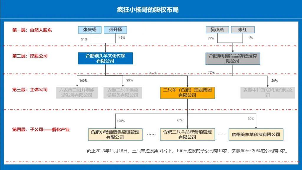 瘋狂小楊哥的股權佈局有多牛