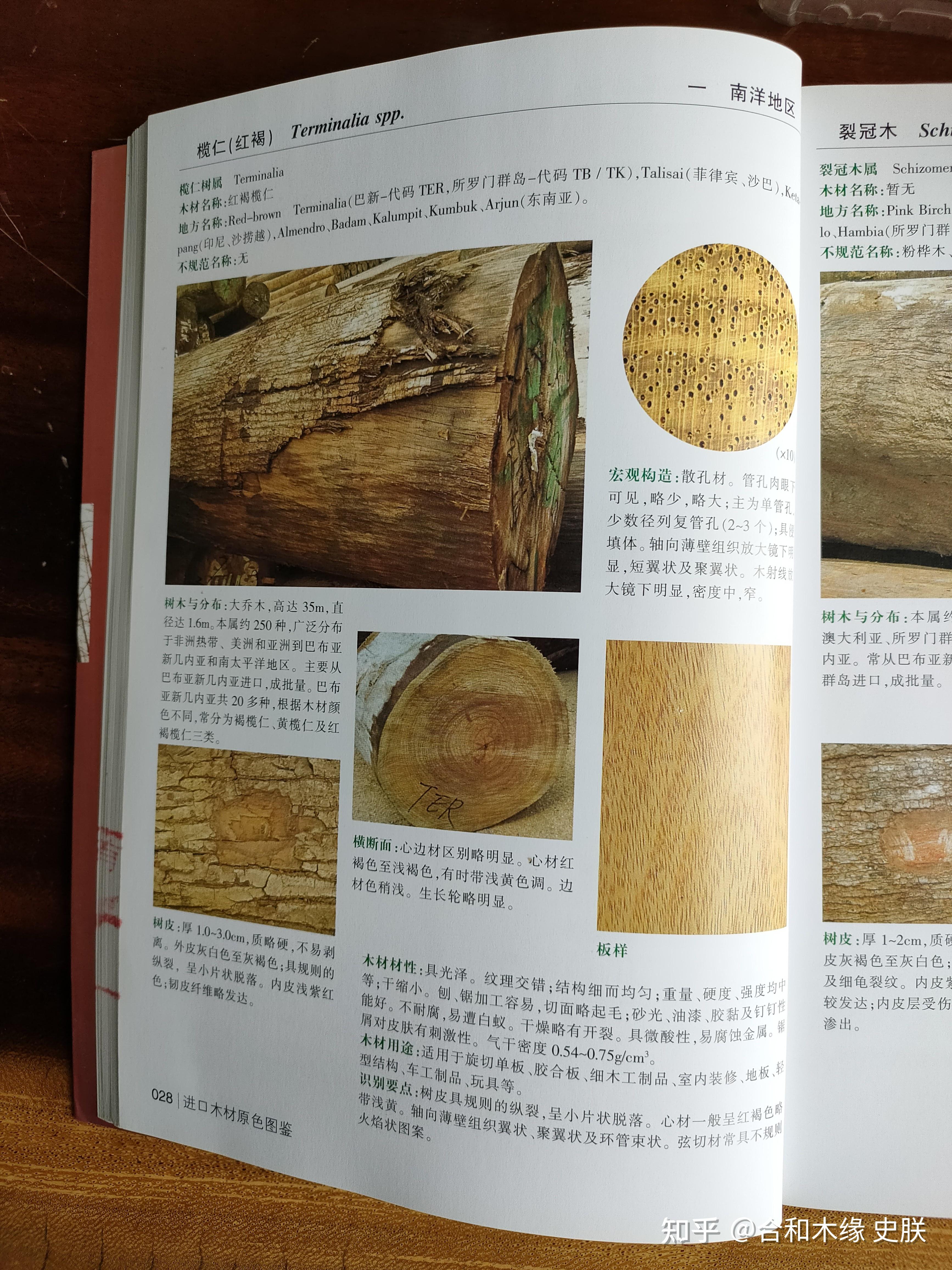 常见胡桃联盟木材种类,十五种胡桃木详细介绍 - 知乎