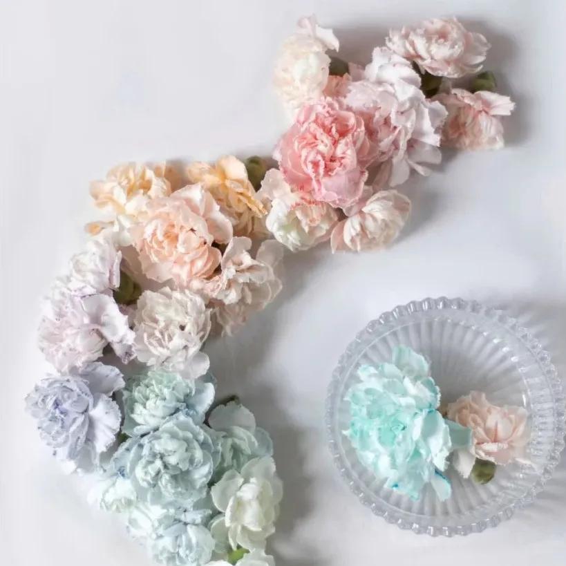 染色鲜花,创造无限可能