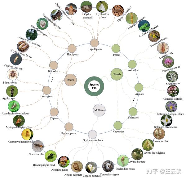 [NeurIPS23] 全方位测评多模态大模型，华为诺亚发布大规模入侵物种数据Species196 - 知乎