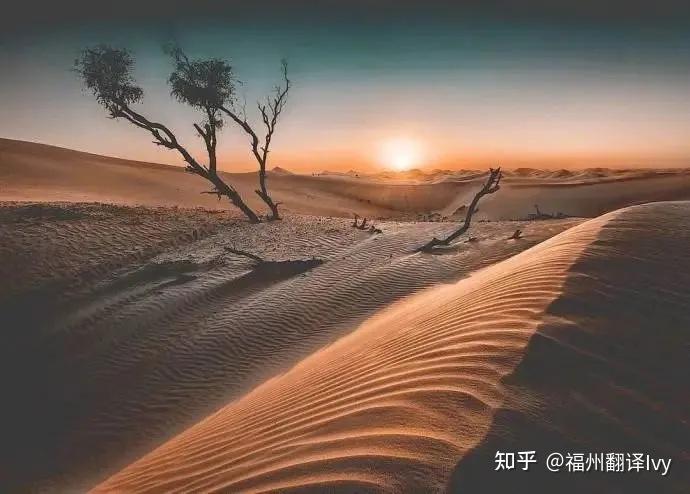 翻译思路拆解土地荒漠化完结