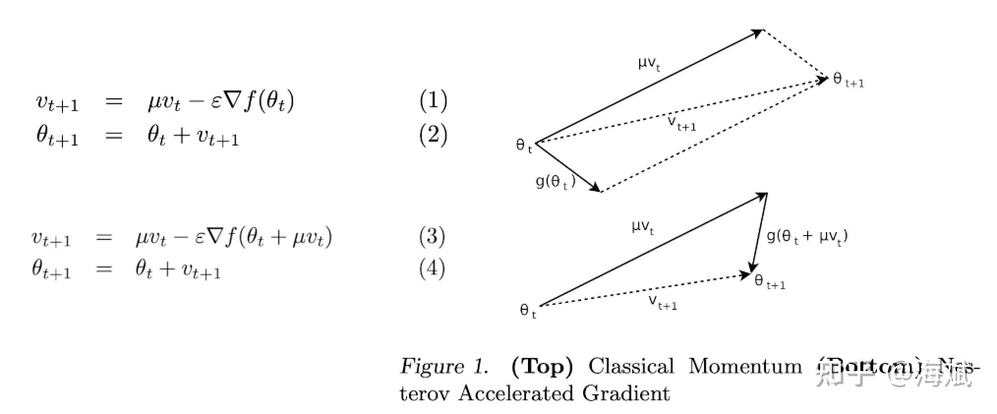 pytorch中常见优化器的SGD,Adagrad,RMSprop,Adam,AdamW的总结 知乎