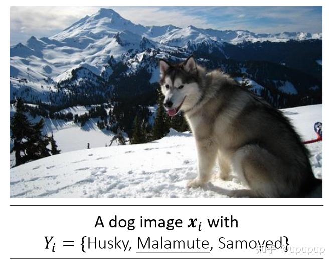 PiCO: Contrastive Label Disambiguation in Partial Label Learning 论文阅读笔记 ...