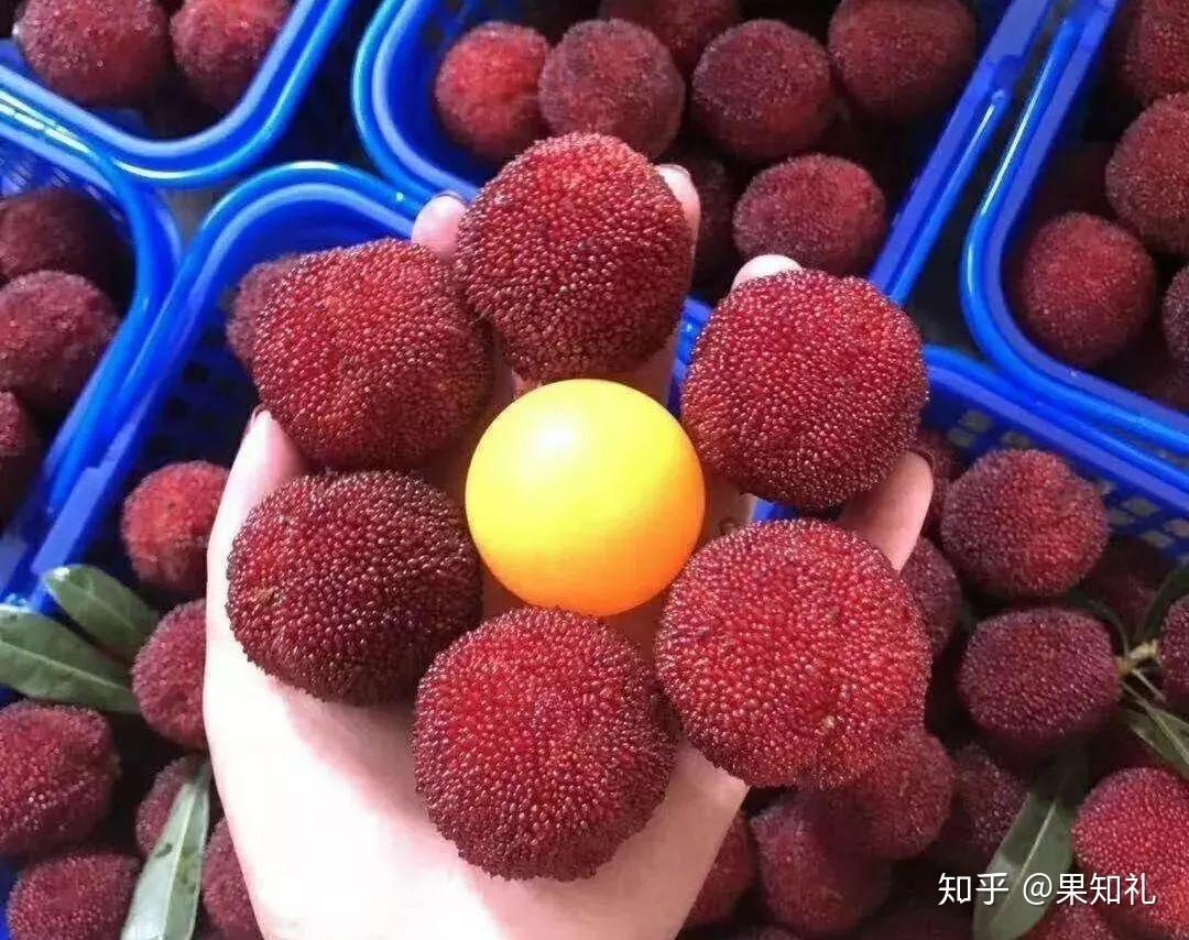 杨梅冰汤圆商用材料网红夏季甜品原料火锅串串冰汤圆杨梅果酱-阿里巴巴