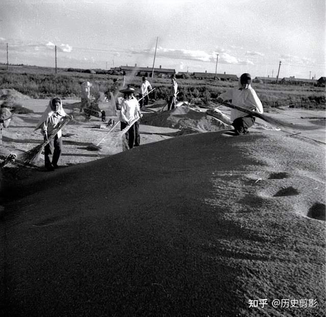 又到麦收时:当年黑龙江生产建设兵团麦收季节壮观场面 - 知乎
