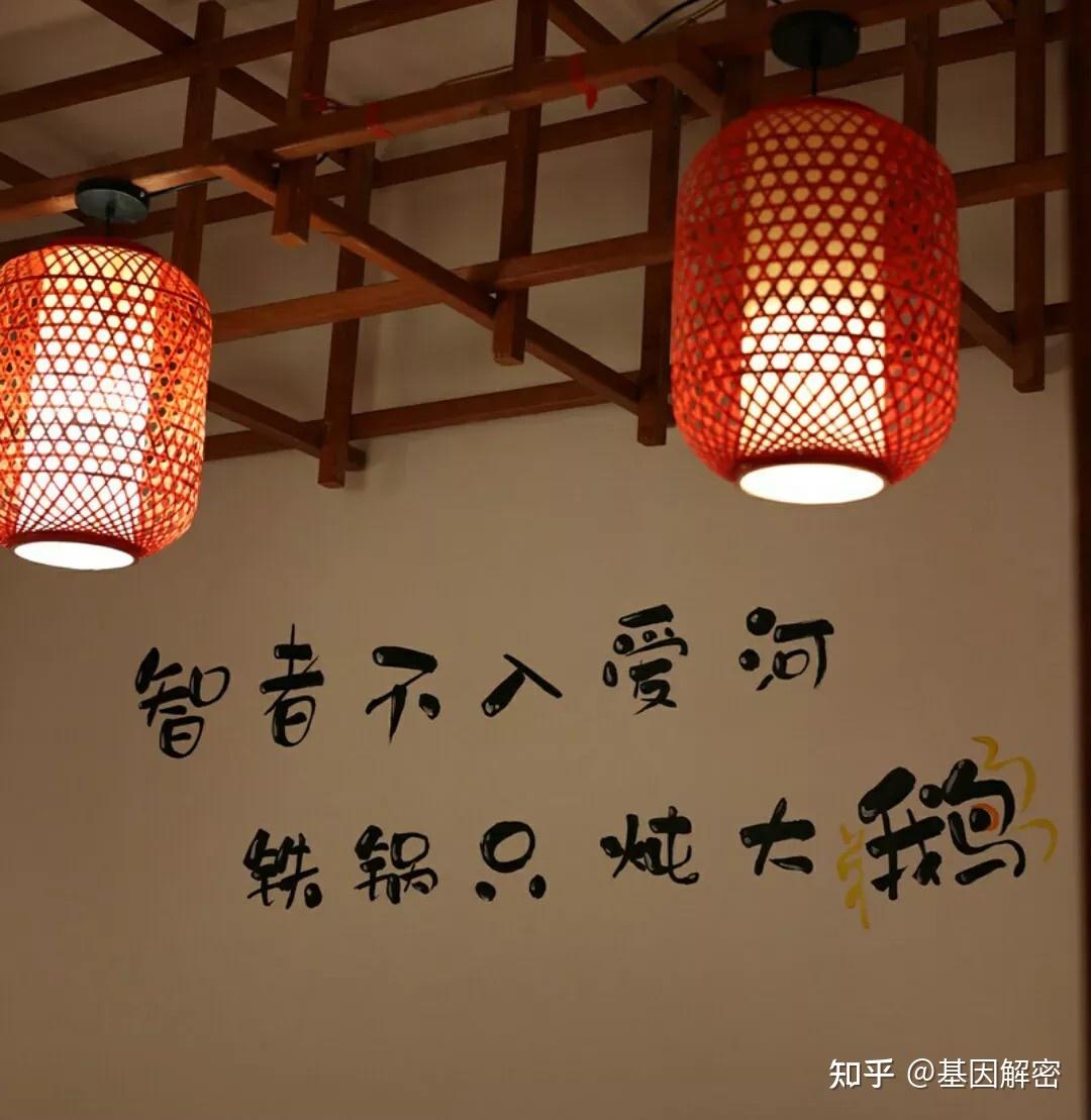 止语.止心 - 知乎